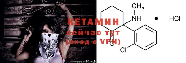 молекула духа Новозыбков