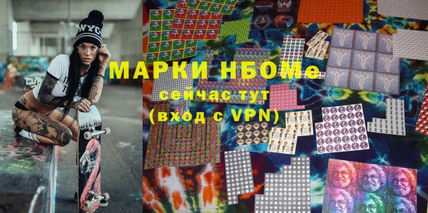 молекула духа Новозыбков