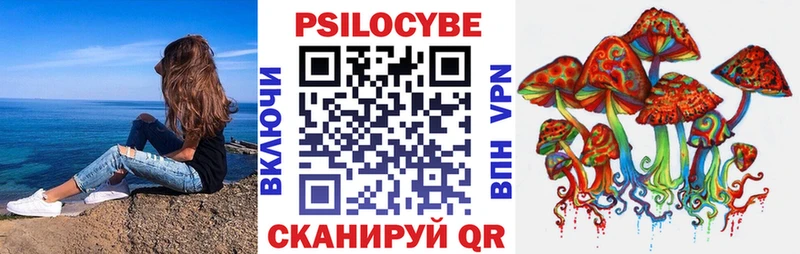 Псилоцибиновые грибы Psilocybine cubensis  закладки  Майский 
