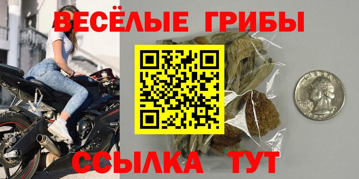 Псилоцибиновые грибы Psilocybine cubensis Майский