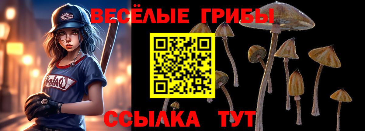 Псилоцибиновые грибы GOLDEN TEACHER  Вход с VPN  Майский 