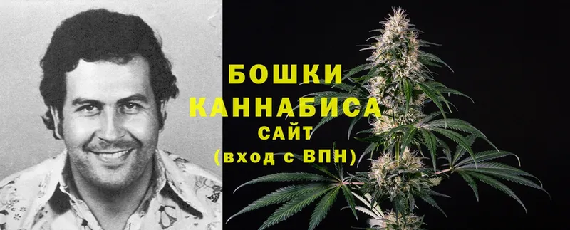 купить наркотики цена  Майский  МЕГА   Канабис Ganja 